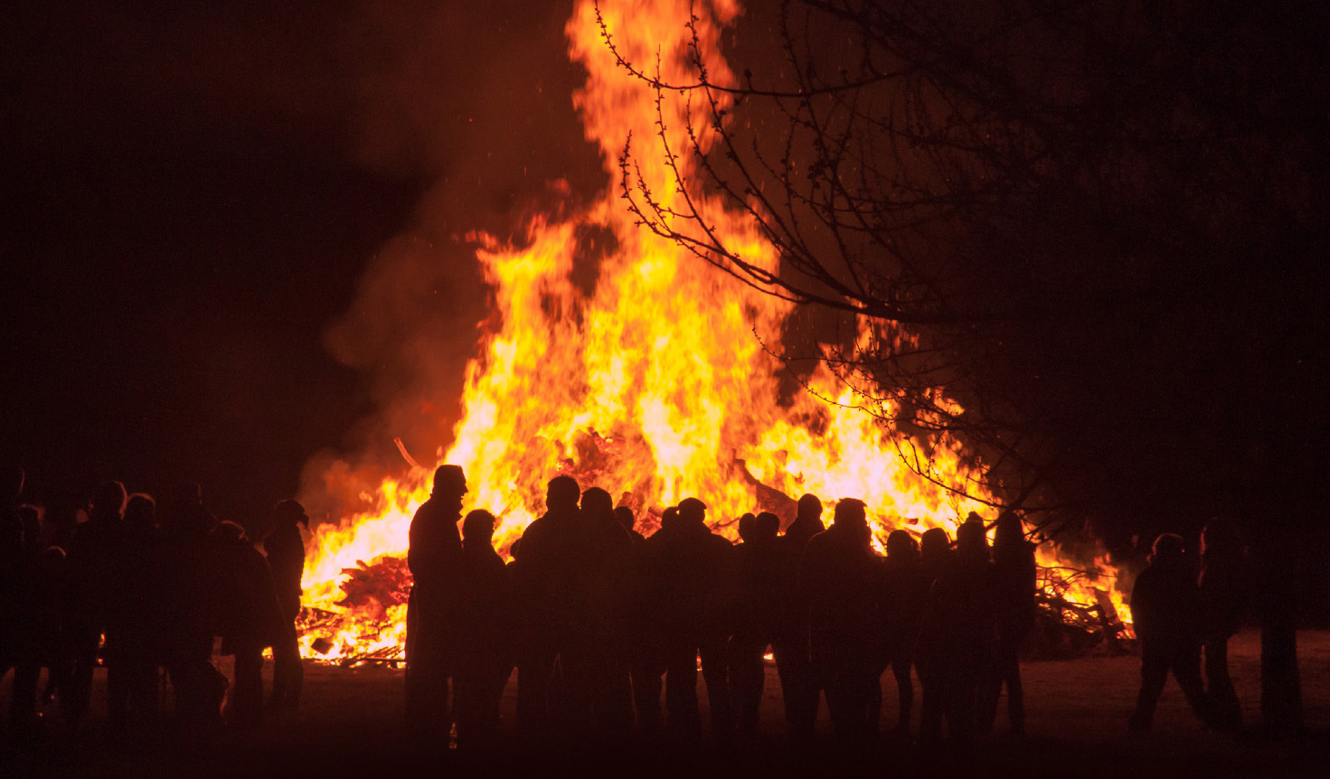 Dekorativ bild av majbrasa